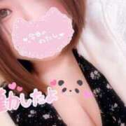 ヒメ日記 2025/02/15 13:05 投稿 ゆり【業界未経験】 茨城水戸ちゃんこ