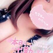 ヒメ日記 2025/03/10 12:55 投稿 ゆり【業界未経験】 茨城水戸ちゃんこ