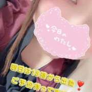 ヒメ日記 2025/03/13 01:05 投稿 ゆり【業界未経験】 茨城水戸ちゃんこ