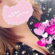 ヒメ日記 2025/03/22 12:45 投稿 ゆり【業界未経験】 茨城水戸ちゃんこ