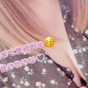 ヒメ日記 2025/04/22 12:45 投稿 ゆり【業界未経験】 茨城水戸ちゃんこ