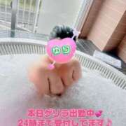 ヒメ日記 2025/06/04 13:05 投稿 ゆり【業界未経験】 茨城水戸ちゃんこ