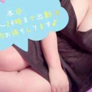 ヒメ日記 2025/07/10 08:35 投稿 ゆり【業界未経験】 茨城水戸ちゃんこ