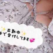 ヒメ日記 2025/07/10 14:25 投稿 ゆり【業界未経験】 茨城水戸ちゃんこ