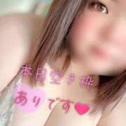 ゆり【業界未経験】 ✨空き枠残りわずか✨ 茨城水戸ちゃんこ