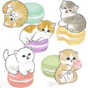 ヒメ日記 2025/02/26 13:07 投稿 小田　あかり 回春マッサージメンズエステ宇都宮