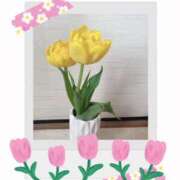 ヒメ日記 2025/03/17 17:25 投稿 小田　あかり 回春マッサージメンズエステ宇都宮