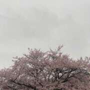 ヒメ日記 2025/04/15 10:30 投稿 小田　あかり 回春マッサージメンズエステ宇都宮