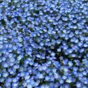 ヒメ日記 2025/04/22 14:18 投稿 小田　あかり 回春マッサージメンズエステ宇都宮