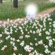 ヒメ日記 2025/04/25 12:01 投稿 小田　あかり 回春マッサージメンズエステ宇都宮