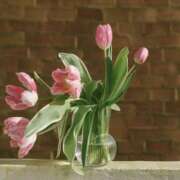 ヒメ日記 2026/03/14 12:32 投稿 小田　あかり 回春マッサージメンズエステ宇都宮