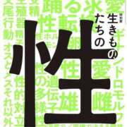ヒメ日記 2026/03/16 23:35 投稿 あんず 新大阪秘密倶楽部