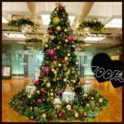 ヒメ日記 2024/12/25 18:00 投稿 初音　くれあ プルプル京都性感エステ　はんなり