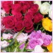 ヒメ日記 2025/02/19 09:41 投稿 初音　くれあ プルプル京都性感エステ　はんなり