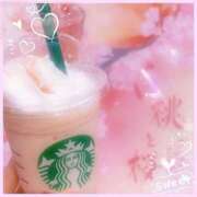 ヒメ日記 2025/02/26 18:15 投稿 初音　くれあ プルプル京都性感エステ　はんなり