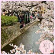 ヒメ日記 2025/04/07 10:00 投稿 初音　くれあ プルプル京都性感エステ　はんなり