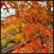 ヒメ日記 2025/12/06 22:01 投稿 初音　くれあ プルプル京都性感エステ　はんなり