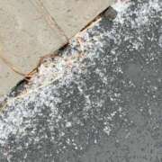 ヒメ日記 2025/03/19 09:28 投稿 れみ 素人妻御奉仕倶楽部Hip's松戸店