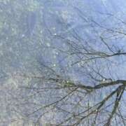 ヒメ日記 2025/03/31 22:49 投稿 れみ 素人妻御奉仕倶楽部Hip's松戸店