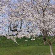 ヒメ日記 2025/04/06 21:28 投稿 れみ 素人妻御奉仕倶楽部Hip's松戸店