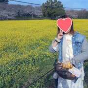 ヒメ日記 2025/04/06 21:40 投稿 れみ 素人妻御奉仕倶楽部Hip's松戸店