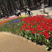 ヒメ日記 2025/04/14 08:59 投稿 れみ 素人妻御奉仕倶楽部Hip's松戸店