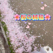 ヒメ日記 2025/04/14 11:06 投稿 れみ 素人妻御奉仕倶楽部Hip's松戸店