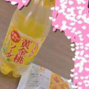 ヒメ日記 2025/05/14 13:16 投稿 れみ 素人妻御奉仕倶楽部Hip's松戸店