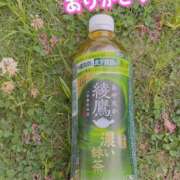 ヒメ日記 2025/05/27 11:55 投稿 れみ 素人妻御奉仕倶楽部Hip's松戸店