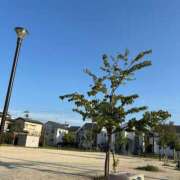 ヒメ日記 2025/08/28 16:57 投稿 れみ 素人妻御奉仕倶楽部Hip's松戸店