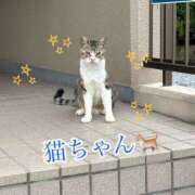 ヒメ日記 2025/09/14 16:39 投稿 れみ 素人妻御奉仕倶楽部Hip's松戸店