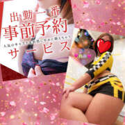 ヒメ日記 2026/04/08 09:29 投稿 れみ 素人妻御奉仕倶楽部Hip's松戸店