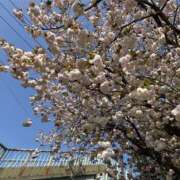 ヒメ日記 2026/04/11 14:19 投稿 れみ 素人妻御奉仕倶楽部Hip's松戸店