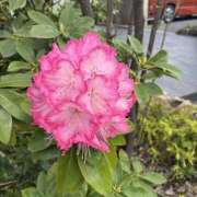 ヒメ日記 2026/04/14 16:59 投稿 れみ 素人妻御奉仕倶楽部Hip's松戸店