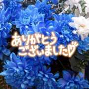 ヒメ日記 2024/07/27 19:38 投稿 かさね 丸妻 横浜本店