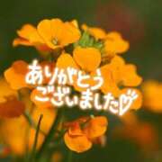 ヒメ日記 2025/03/15 19:15 投稿 かさね 丸妻 横浜本店