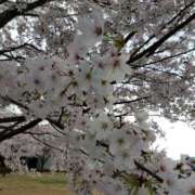 ヒメ日記 2025/04/05 14:27 投稿 かさね 丸妻 横浜本店