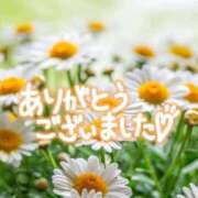 ヒメ日記 2025/05/03 17:52 投稿 かさね 丸妻 横浜本店