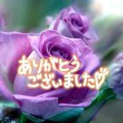 ヒメ日記 2025/05/22 20:36 投稿 かさね 丸妻 横浜本店