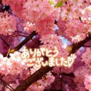 ヒメ日記 2025/11/09 18:25 投稿 かさね 丸妻 横浜本店