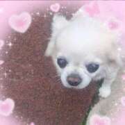 ヒメ日記 2026/04/14 10:06 投稿 あみ 大宮おかあさん