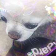 ヒメ日記 2026/04/21 07:36 投稿 あみ 大宮おかあさん