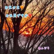 ヒメ日記 2025/01/05 16:27 投稿 安藤(あんどう) 八王子人妻城