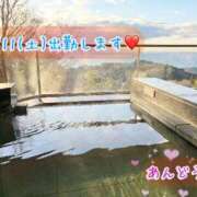 ヒメ日記 2025/01/08 12:27 投稿 安藤(あんどう) 八王子人妻城