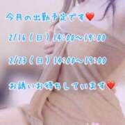 ヒメ日記 2025/02/01 13:03 投稿 安藤(あんどう) 八王子人妻城