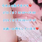 ヒメ日記 2025/02/01 21:48 投稿 安藤(あんどう) 八王子人妻城