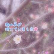 ヒメ日記 2025/02/03 12:24 投稿 安藤(あんどう) 八王子人妻城