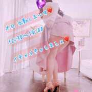 ヒメ日記 2025/03/30 08:18 投稿 安藤(あんどう) 八王子人妻城