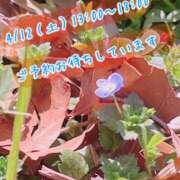 ヒメ日記 2025/04/08 12:18 投稿 安藤(あんどう) 八王子人妻城