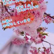 ヒメ日記 2025/04/20 21:18 投稿 安藤(あんどう) 八王子人妻城